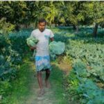 farm 1